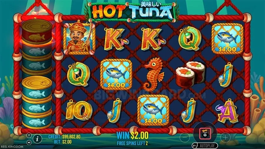Omaha Poker Player Hand
