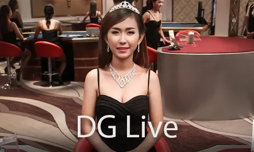 Bingo Strategy Guide for 100JL Players