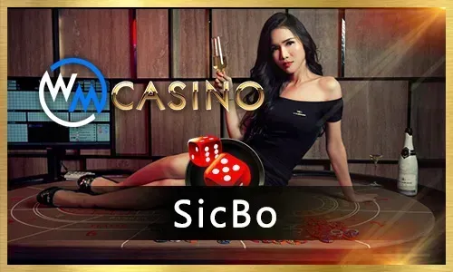 100JL Bingo Customer Support